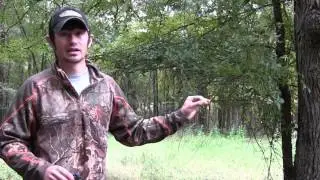 How to Make a Mock Scrape