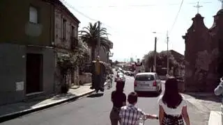 i gigamti di mandaradoni (limbadi)
