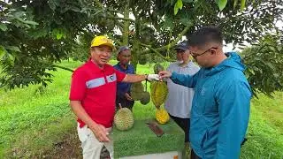 REVIEW BELAH DURIAN RB SUBANG,BERSAMA PAK MUL