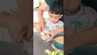 Easy Chikkoo Icecream with few availableI Ingredients