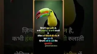 short video #motivation plant #