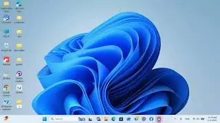 how to set up flutter and dart
