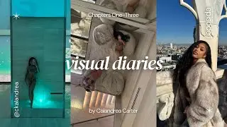 Visual Diary: Life of a 20yr Black Girl, Solo Travel, Italian Wines, Texas & Cali Adventures 