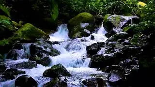 Soft flowing river water sounds offering serene ambience for deep relaxation and sleep