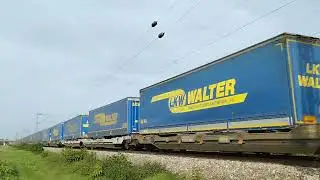 RT/S  SBB 193er mit LKW Walter durch Kenzingen nach Süden