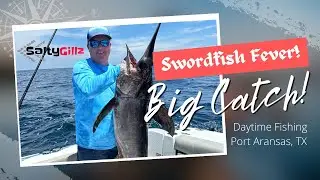 Hand Cranking Daytime Swordfish in the Gulf of America