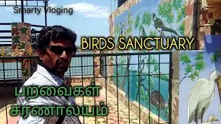BIRDS SANCTUARY | பறவைகள் சரணாலயம் | VADUVOOR LAKE | வடுவூர் ஏரி | DELTA | TAMIL VLOG | TANJORE