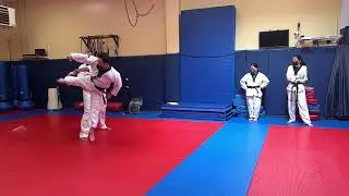 Flying side kick