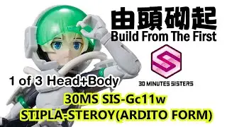 由頭砌起BFTF17 - 2024 30MS SIS-Gc11w STIPLA-STEROY(ARDITO FORM) 1 of 3 Head + Body