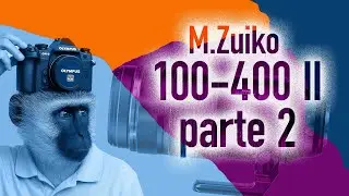 100-400ii vs il resto del mondo