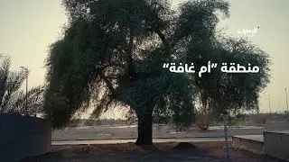 منطقة 