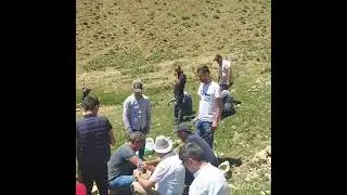Bingöl Adaklı Arıca Mahallesi