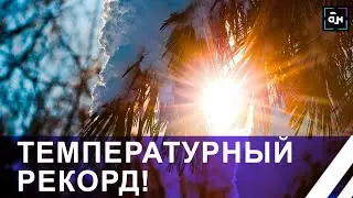 САМАЯ ТЁПЛАЯ ЗИМА. Погодные рекорды в Беларуси! Панорама