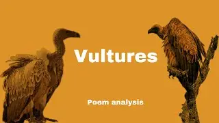 GRADE 12 | Vultures by Chinua Achebe poem analysis