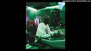 [FREE] Young Thug x Wheezy Type Beat 