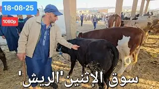 مباشرة سوق الماشية بمدينة الريش إقليم ميدالت 18-08-25،مع أثمنة العجول ألعجلة الكسابية البقرة التابعة