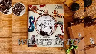 Bloomsbury Natural History Museum Book | Fantastic Beasts The Wonder of Nature