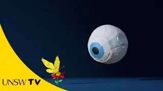 How the UNSW Bionic Eye works
