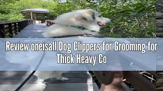 Review oneisall Dog Clippers for Grooming for Thick Heavy Coats/Low Noise Rechargeable Waterproof Co