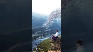 &ldquo;Korean Healing Forest Ambience 🍃 | Deep Relaxation in Nature Soundscape&rdquo;