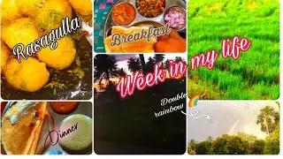 Few days in my life.....Rasagulla recipe will be shared soon.....#recipe#rasagulla#rainbow#breakfast