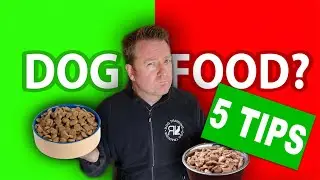 How to Choose the Right Dog Food (Feeding Tips for Dogs)