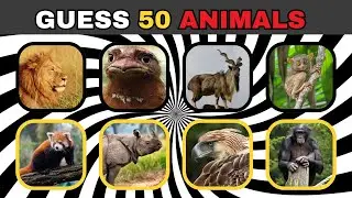 Quiz Blitz Animals | Guess 50 Rare Animals #generalknowledge #quiz #quizblitz