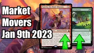 MTG Market Movers - January 9 2023 - Commander! Branching Evolution and Najeela, the Blade-Blossom!