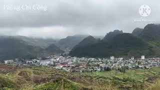 Mèo vạc