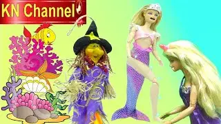 BÚP BÊ TIÊN CÁ MỌC CHÂN rồi kìa !!!