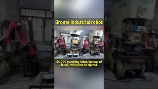 Bronte stamping robot, only $4,000.#factory #machine #robot #industry #Viet Nam