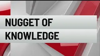 Nugget of Knowledge: 2023 Word of the Year
