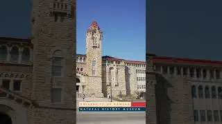 University of Kansas | A Beautiful Fall Visit | 2024 | Natural History