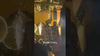 Bride Entry #music #wedding #bride #weddingdance #shorts #shortvideo #season #couple #couples