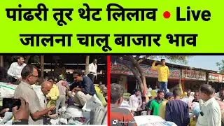 पांढरी तुर बाजार भाव थेट लिलाव Live  चालू दर जालना महाराष्ट्र|| तूरीला काय मिळतो भाव