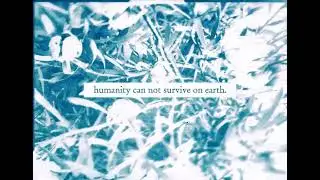 RTD Superflux: Manifesto Response