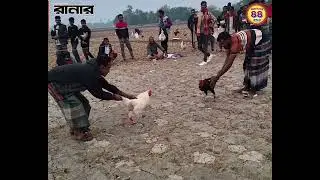 পৌষ সংক্রান্তি উপলক্ষ্যে ঐতিহ্যবাহী মোরগ লড়াই
