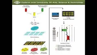 Mutation detection methods in Genetic disorders-2