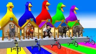 The monkey  cock Bear cat Rabbit cow Dear  animal 3d fountain crossing video 3d funny long game