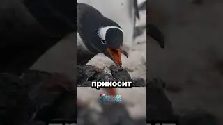 А ловко он это придумал