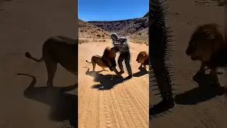 A Crazy Cactus Man vs Lions 😱