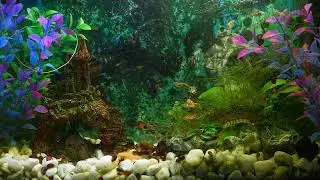 Аквариум / Музыка для сна / music for sleep / aquarium