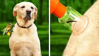 SAFETY FIRST!🐝💉 LIFE-SAVING PET HACKS YOU HAVE TO KNOW