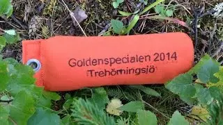Goldenspecialen 2014 Trehörningsjö