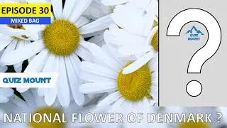 What is the national flower of Denmark ? | Mixed Bag E30 | Quiz Mount