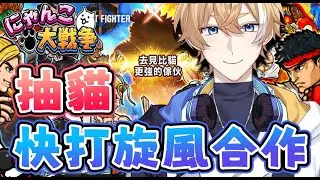 【貓咪大戰爭】就是今天了，兄弟們【回家部/庚庚】