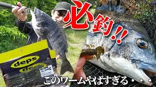 【フリーリグ】デプスの新作ワームが凄い！ボトムチニングに一押し！【東京湾】