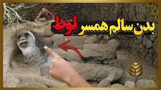 همسر گناهکار لوط: کشف بدن سنگی که سرنوشت وحشتناک همسر لوط و قوم کافر اون رو آشکار می کنه!😱