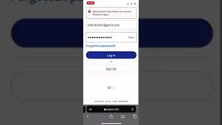 PayPal log with email access & cashout method