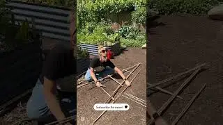 Small Space Garden Hack: DIY Bamboo Trellis!  #gardening #smallspacegarden #vegetablegarden